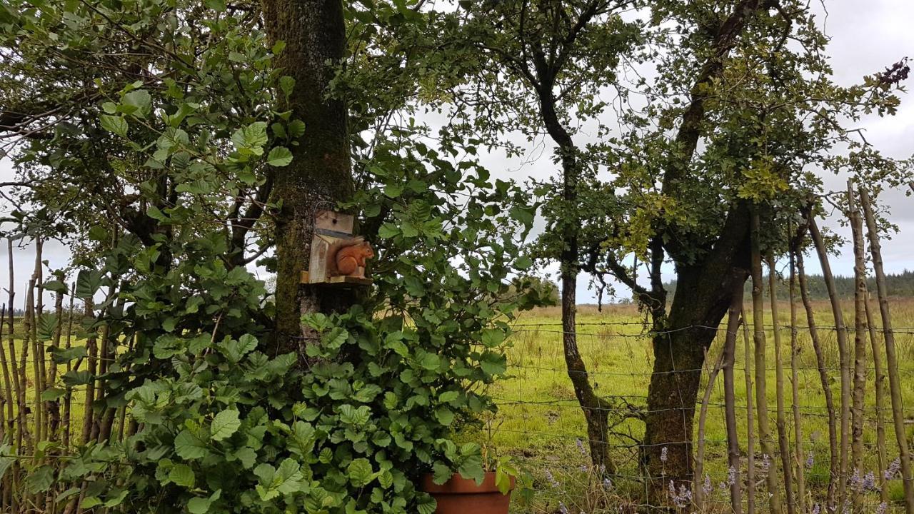 Cosy Cottage On The Causeway Coast And Glens 巴利卡斯尔 外观 照片